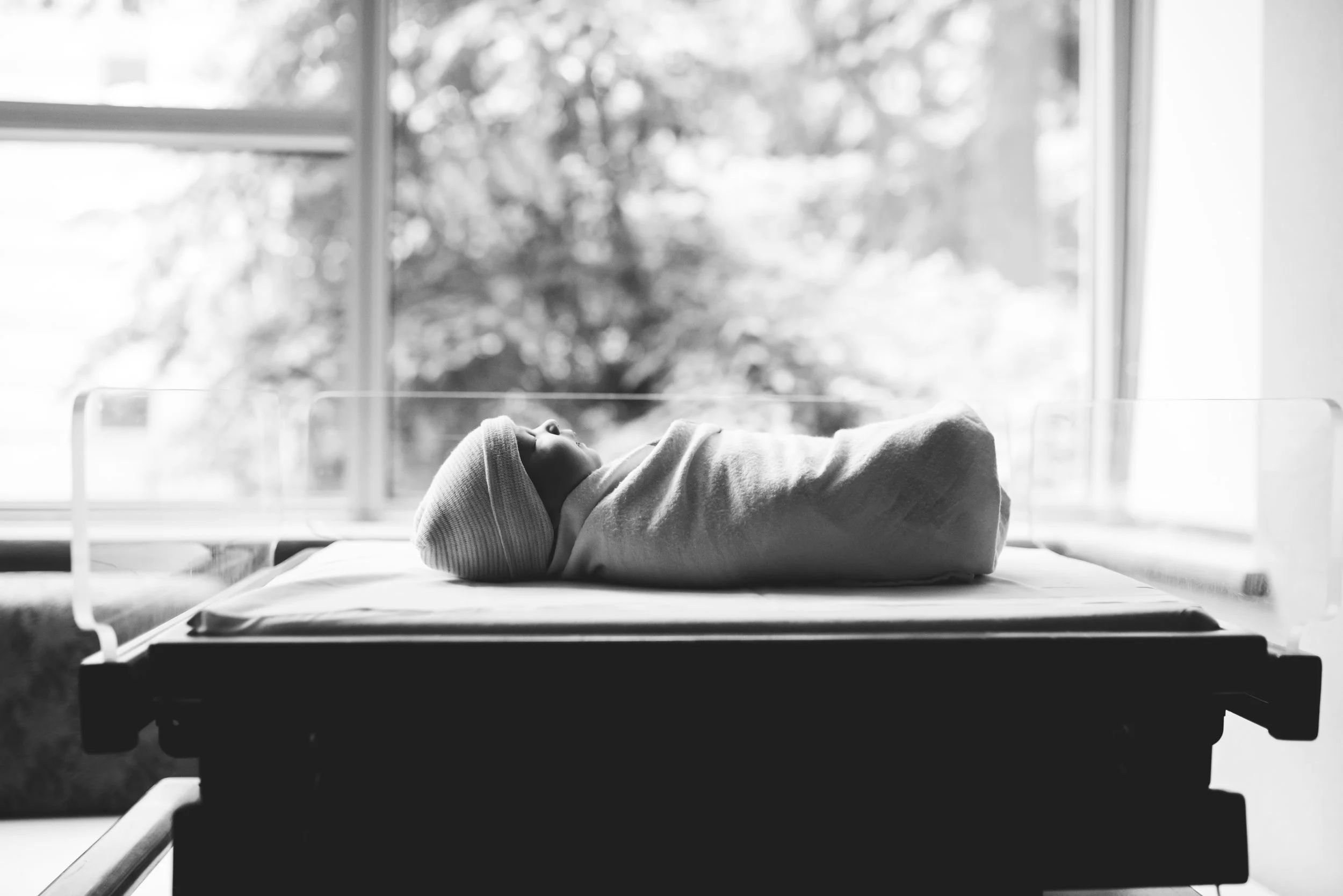Seattle Newborn photographer