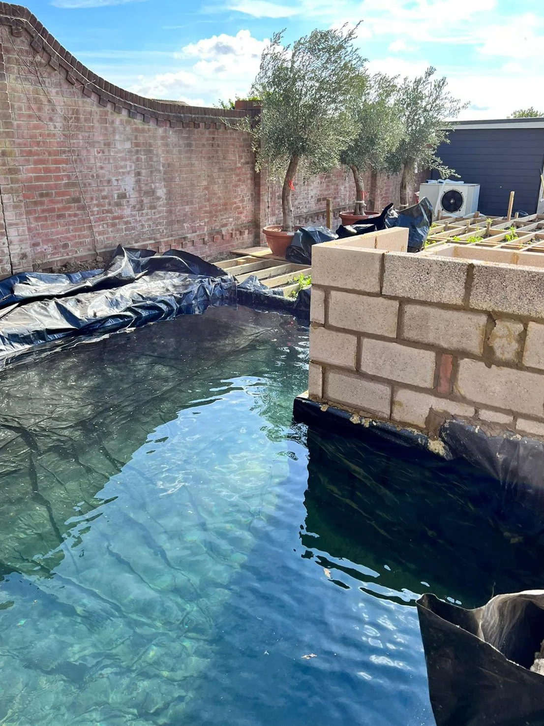 df955a08-6c95-4285-ba9d-b0b7baf1d8bd copy.jpg