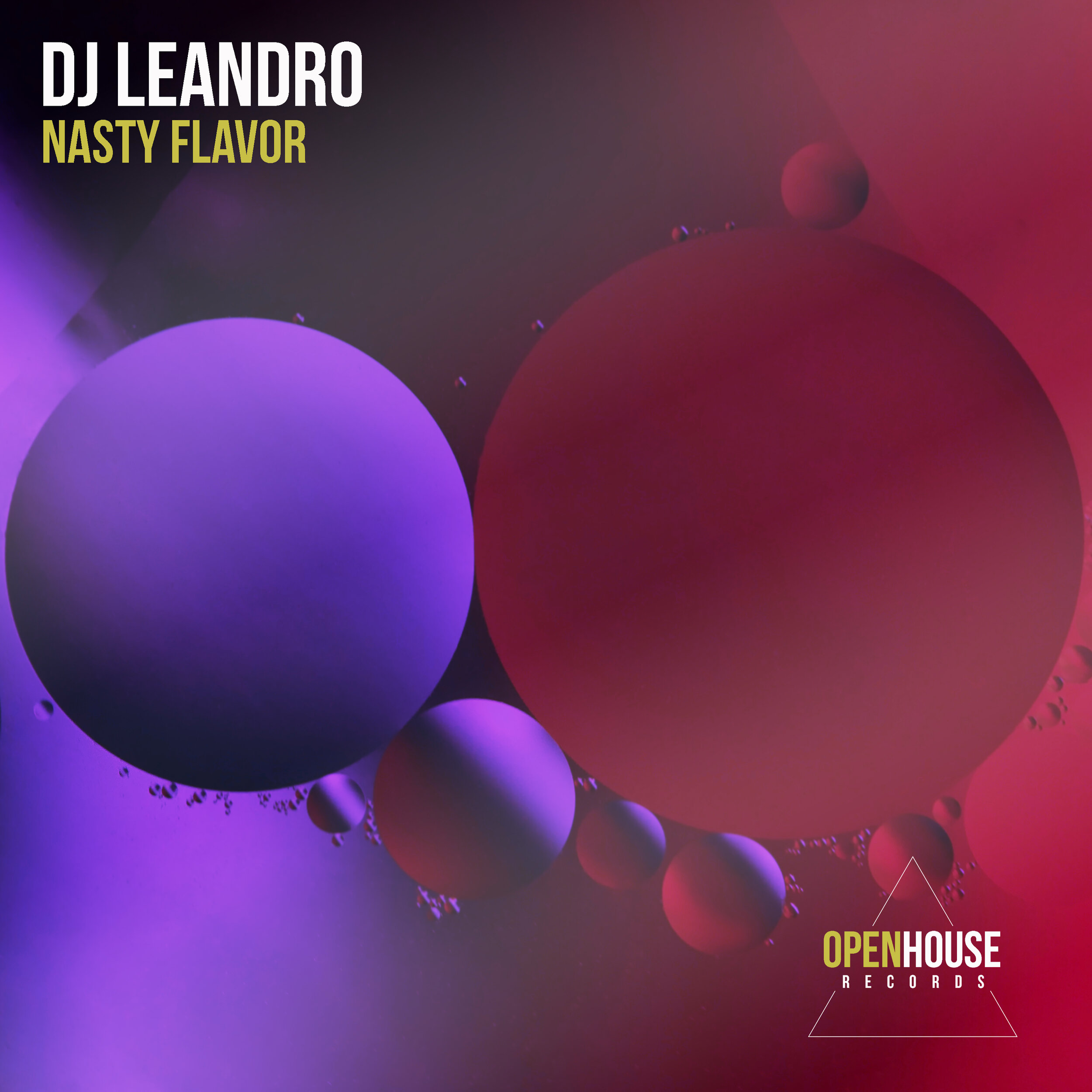 DJ Leandro - Nasty Flavor.jpg