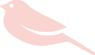 Bird.png