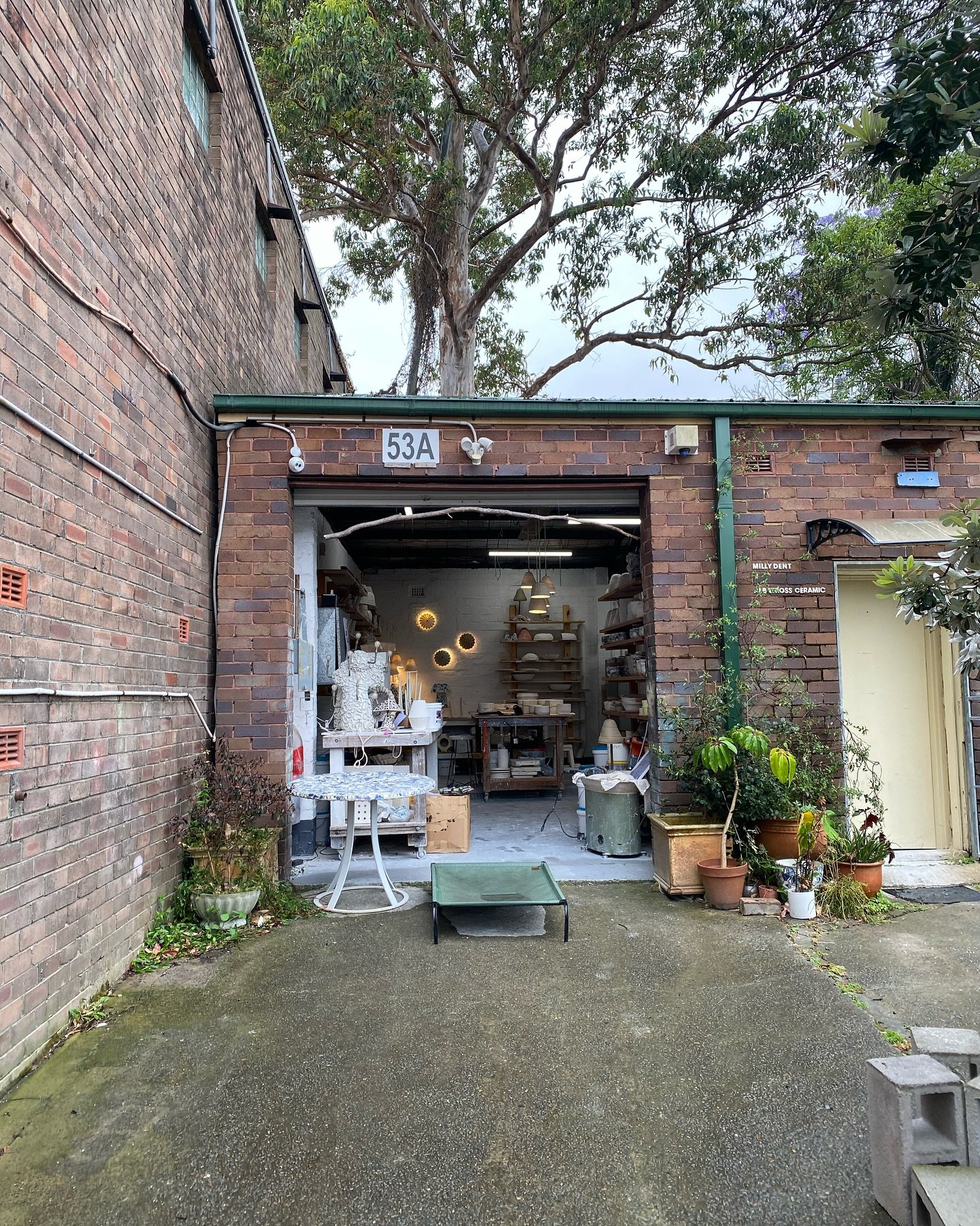 💙 Milly Dent 💙
Yesterday I went to Milly&rsquo;s studio to pick up some extra stock. 
The studio is so calm &amp; the light is beautiful. 
I&rsquo;ve brought back some new sizes &amp; shapes of the sunflower series &amp; also the gem plates &amp; c