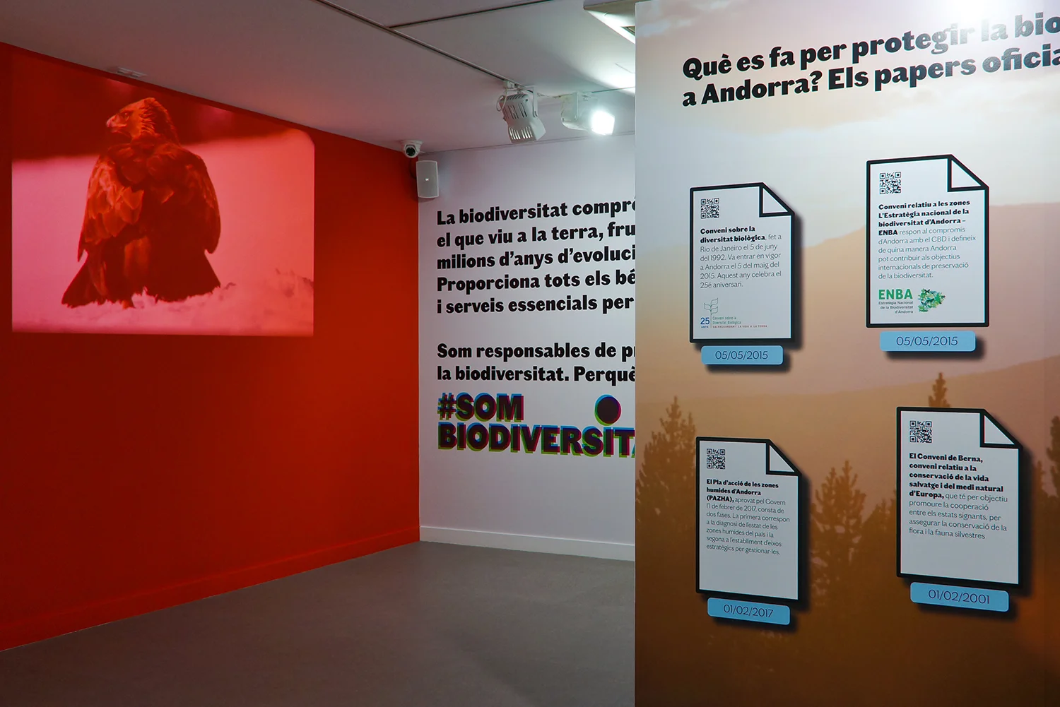 biodiversitat_7.jpg
