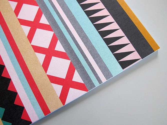 LPV_BOOKS_4_Seminole__Front_Close2_4_500.jpg
