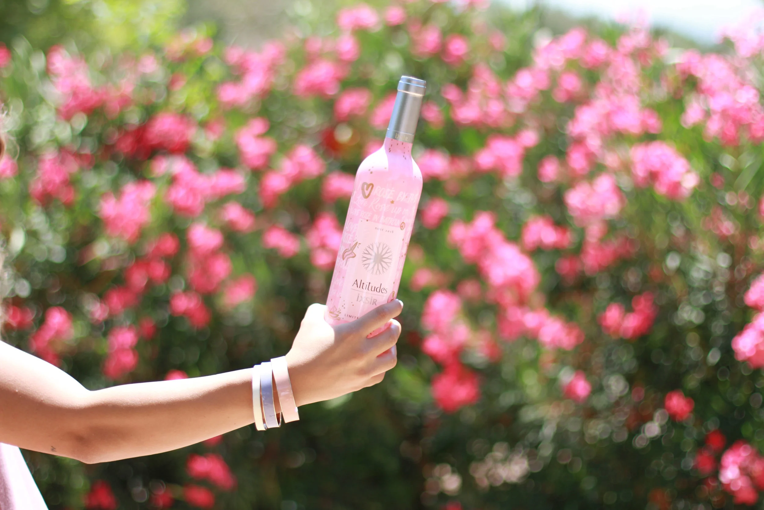 Role: Launching Event and Social Media Communication 