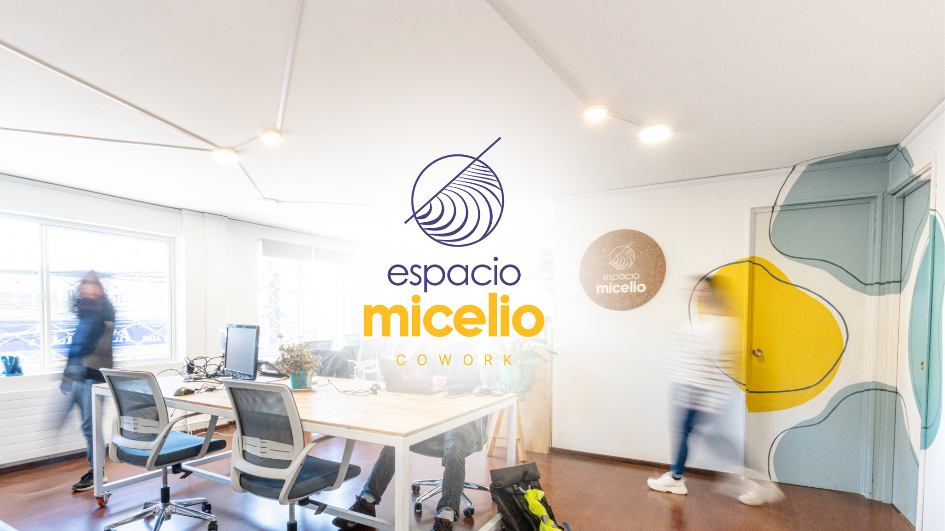 Logotipo-espacio-micelio-2.png