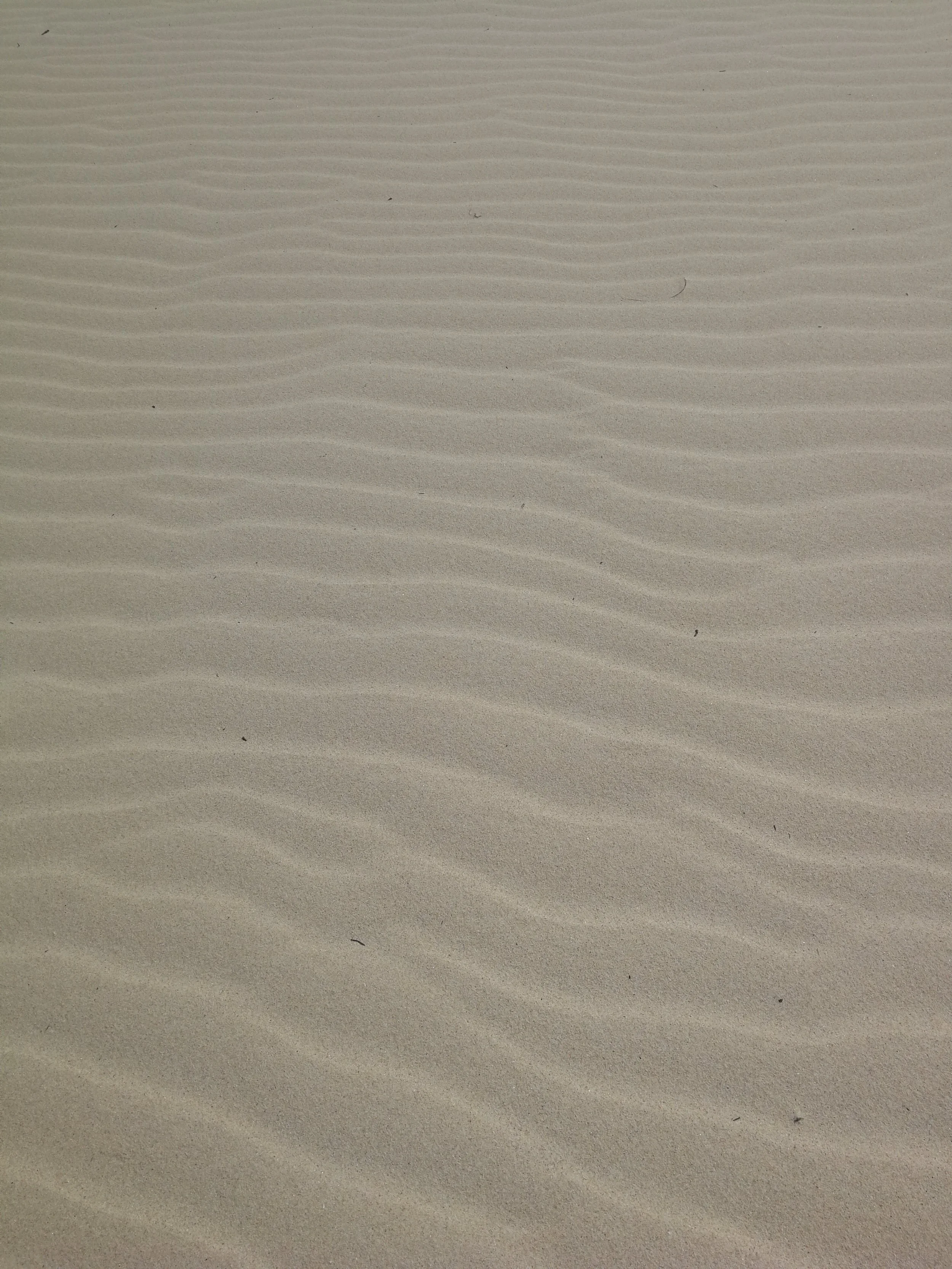 Emergence – Sculpture by the Sea