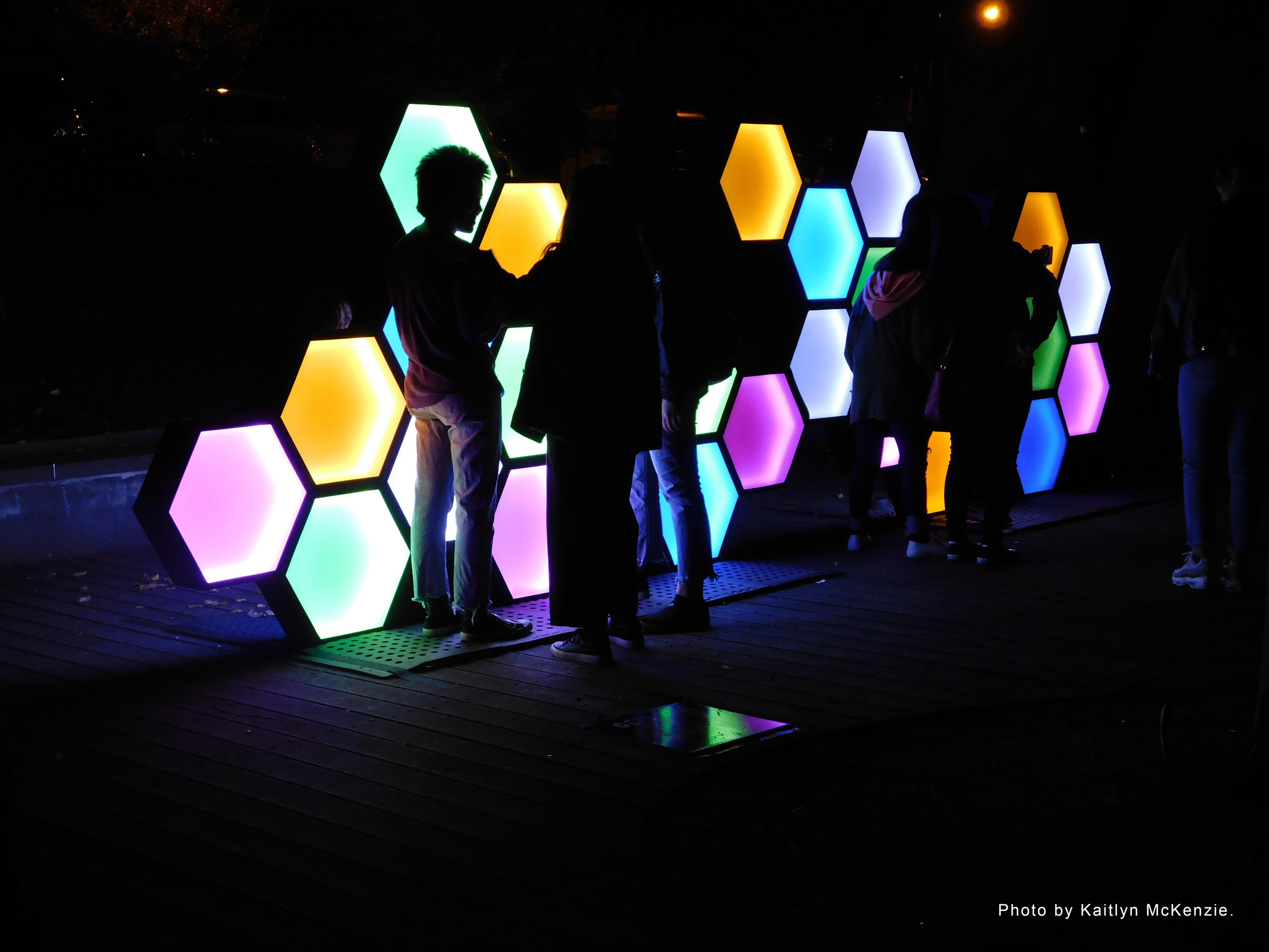 'Beta Bee' - Geelong After Dark