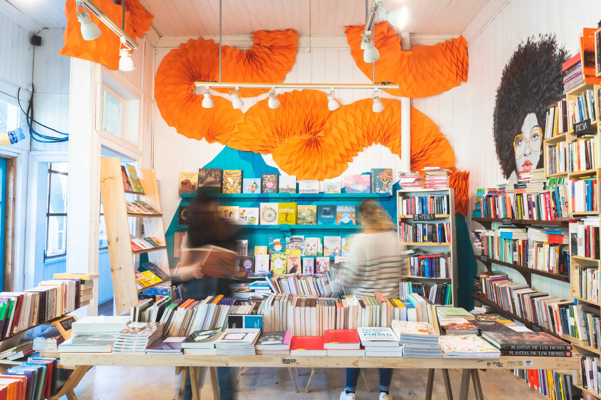 diseno espacio infantil libreria gato caulle