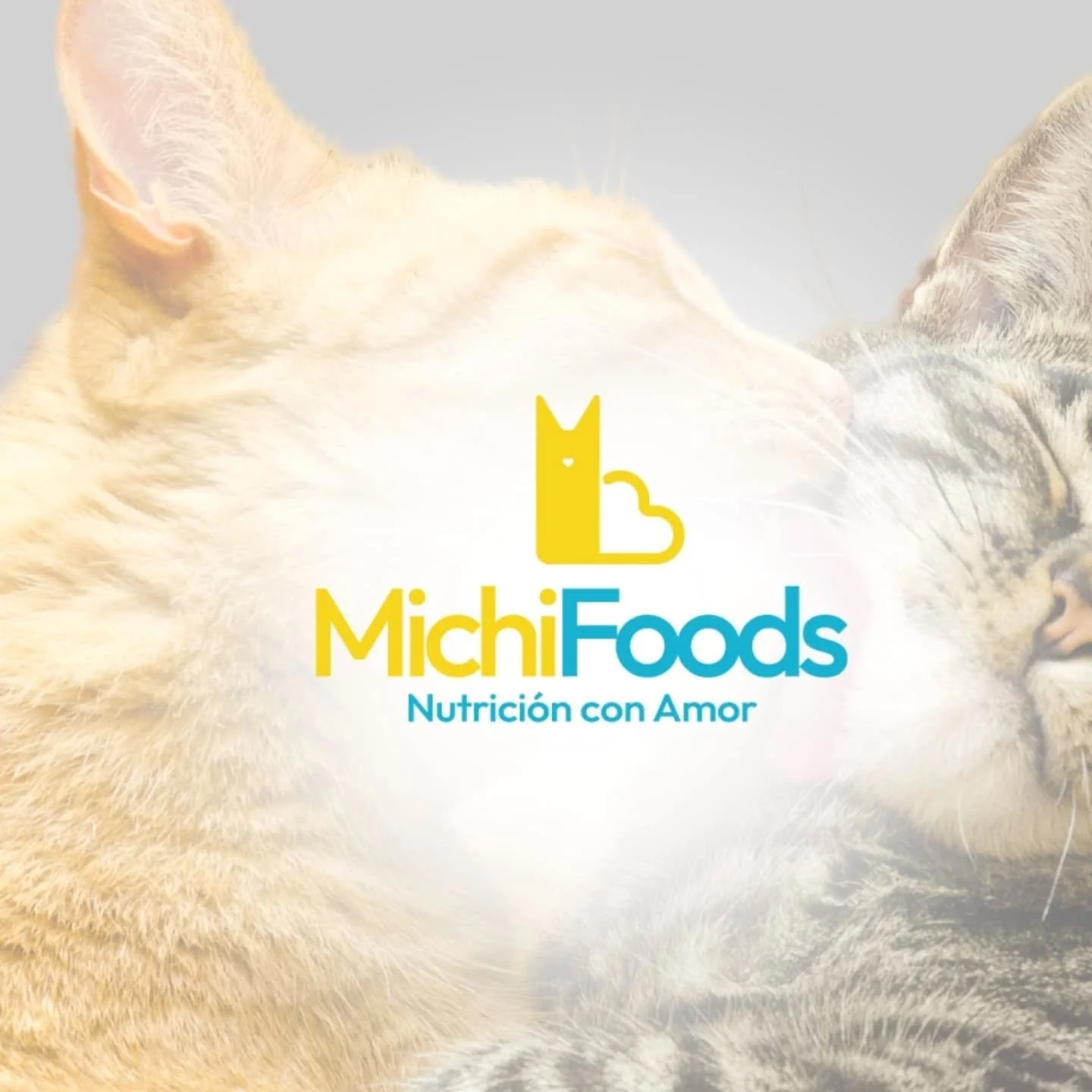 En el primer semestre nos toc&oacute; entrar a un mundo nuevo para Milacamila: el universo animal 🐾💛

As&iacute; conocimos a @michifoods_chile, una marca que, adem&aacute;s de hacer un alimento incre&iacute;blemente nutritivo para gatos, tiene una 
