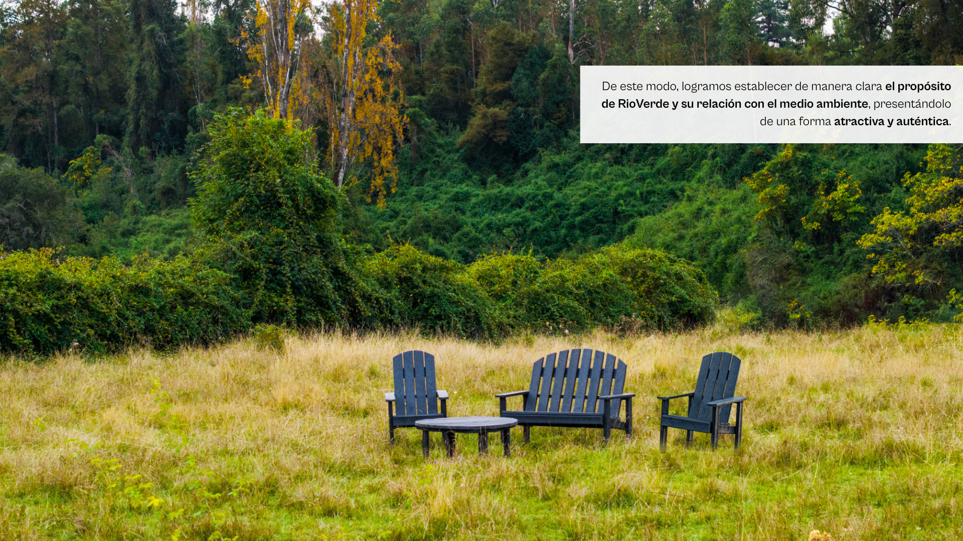 Identidad Visual x Milacamila(1).png