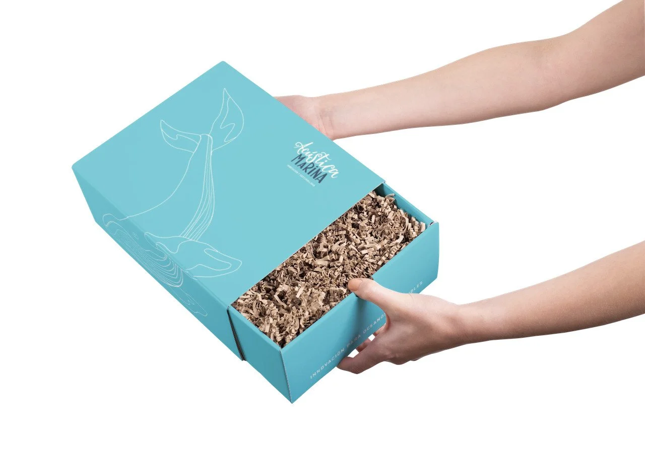 diseño-caja(1).jpg