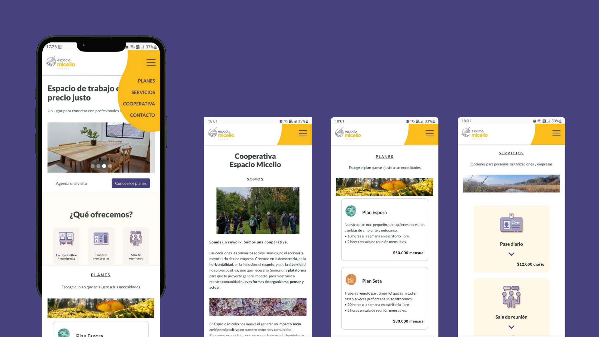 Diseño -web-espacio-micelio.png