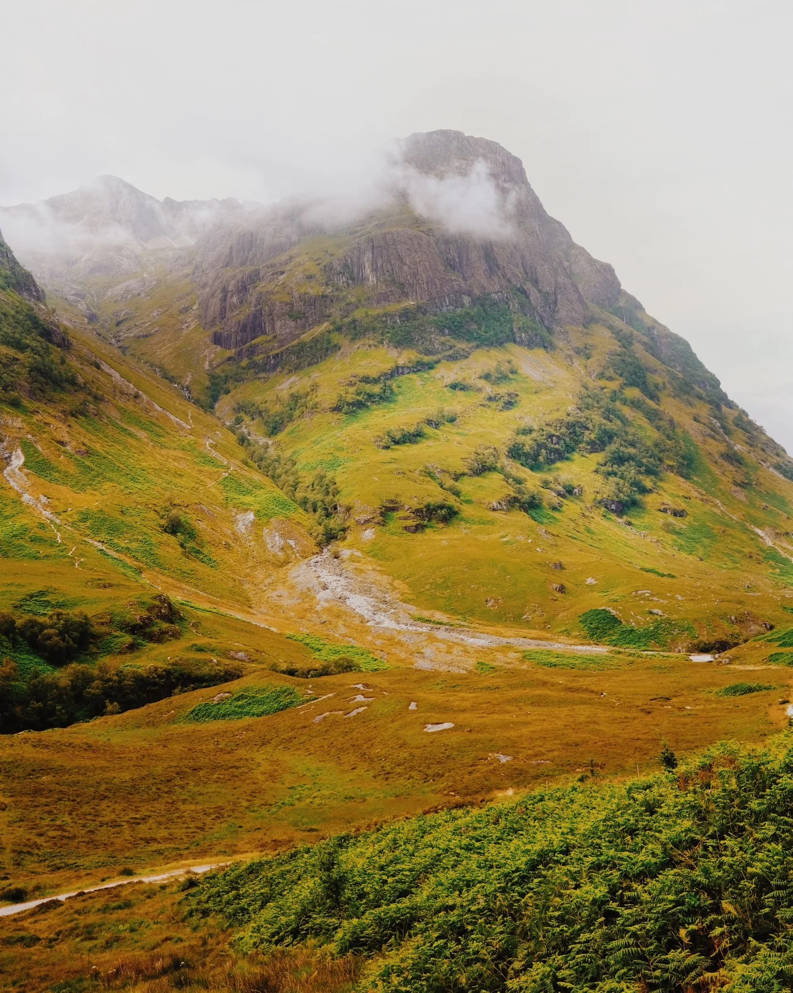 WhatsApp Image 2024-07-25 at 17.56.07-2.jpeg