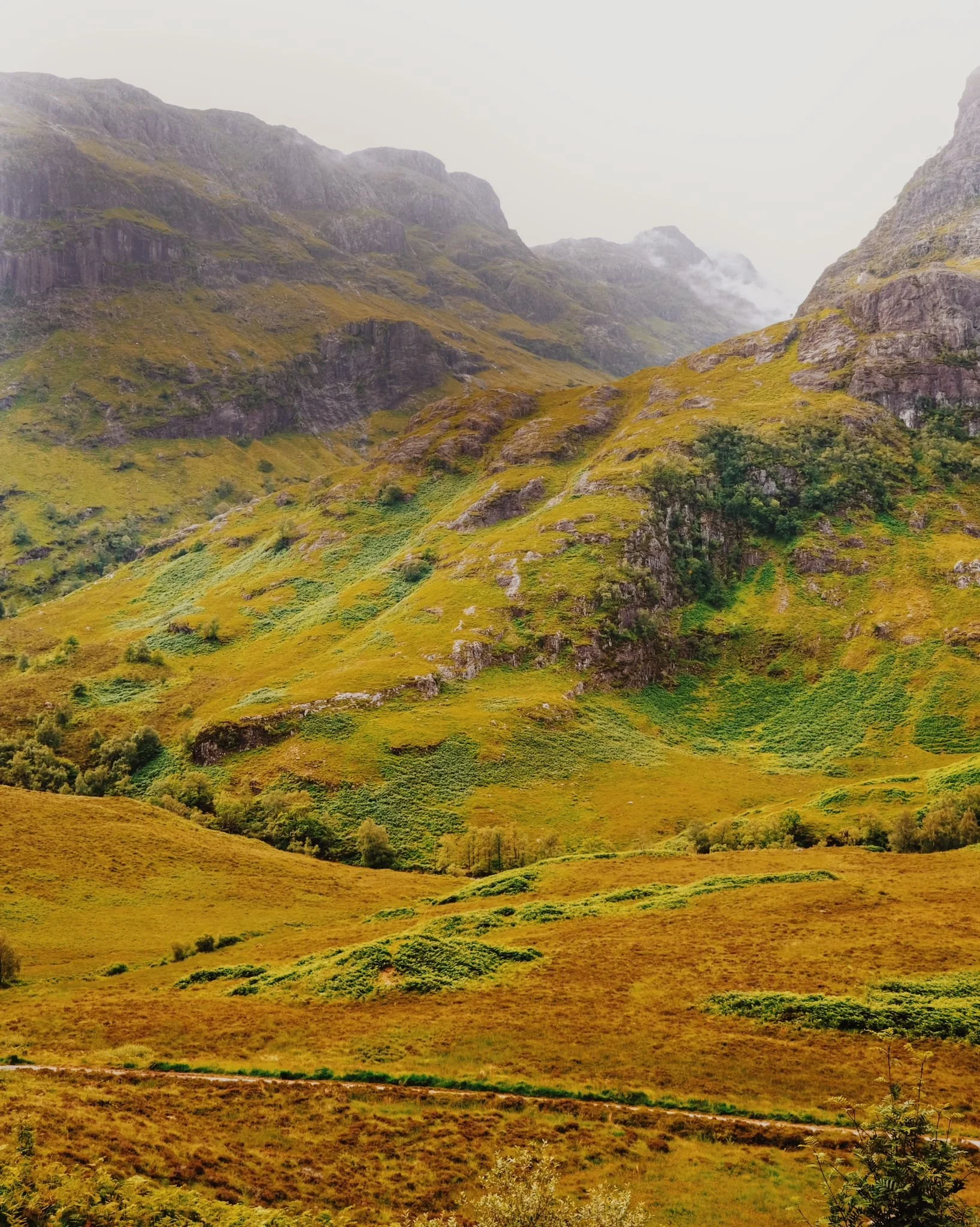 WhatsApp Image 2024-07-25 at 17.56.07.jpeg