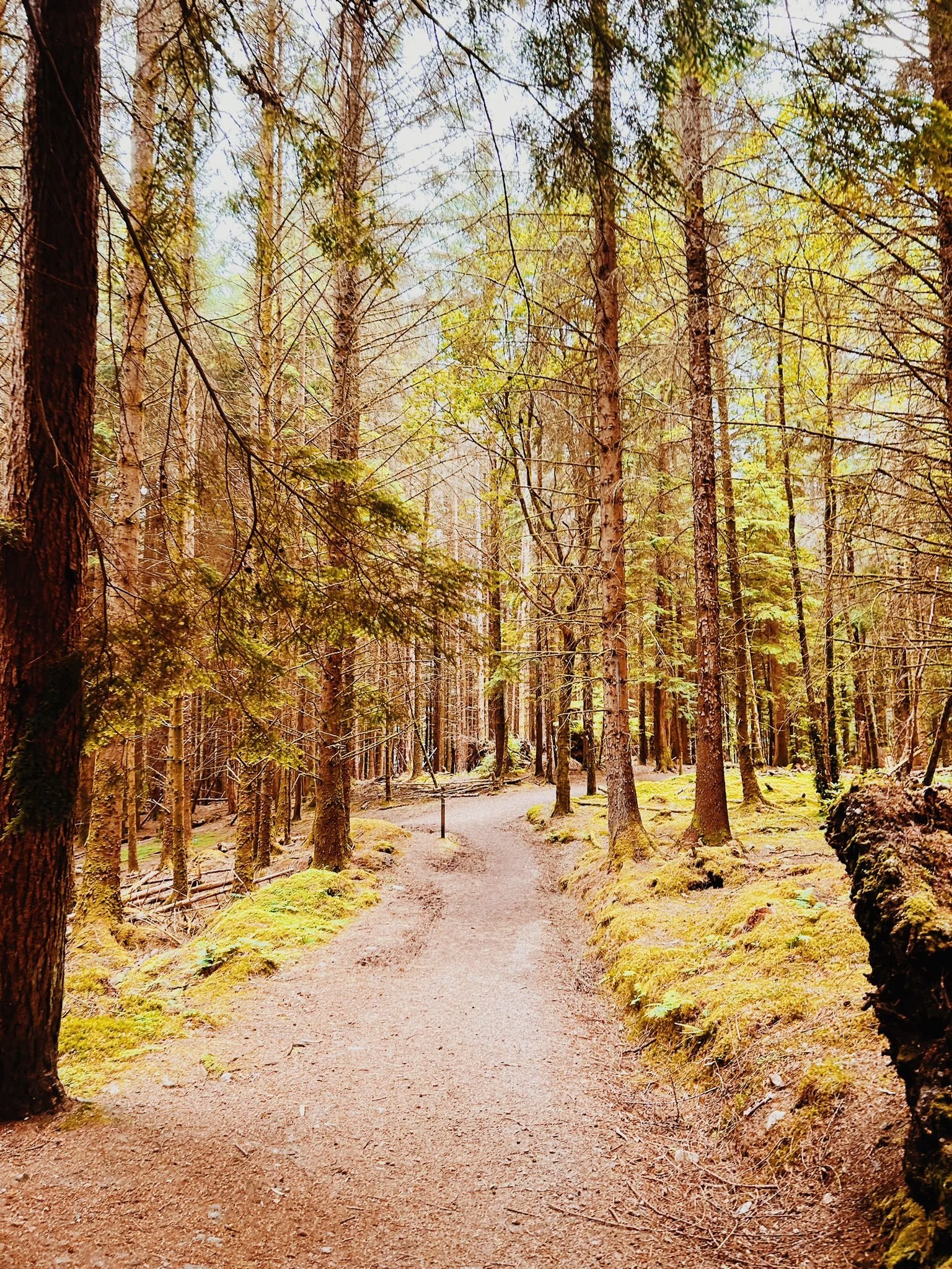 WhatsApp Image 2024-07-25 at 17.56.08.jpeg