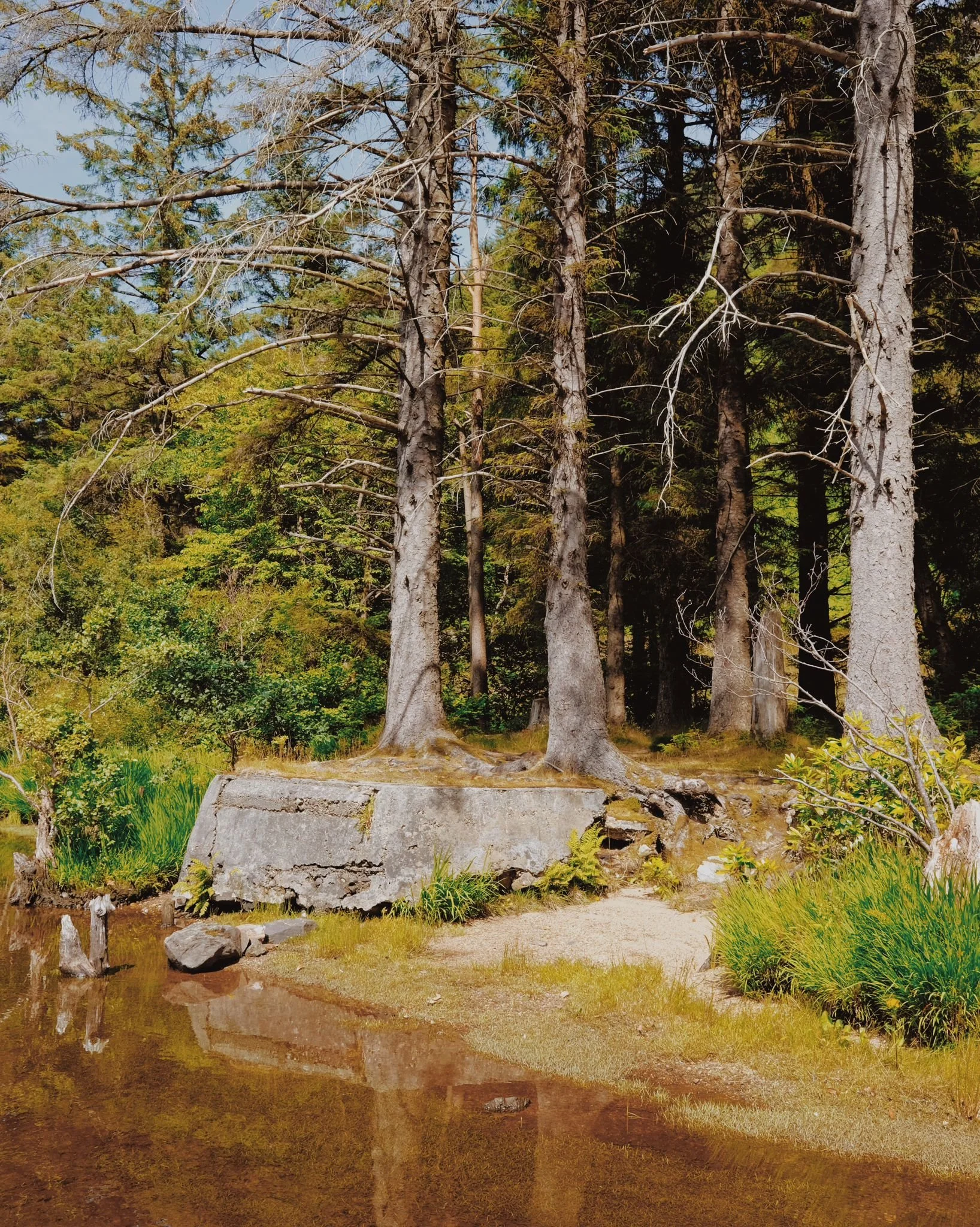 WhatsApp Image 2024-07-25 at 17.56.09-2.jpeg