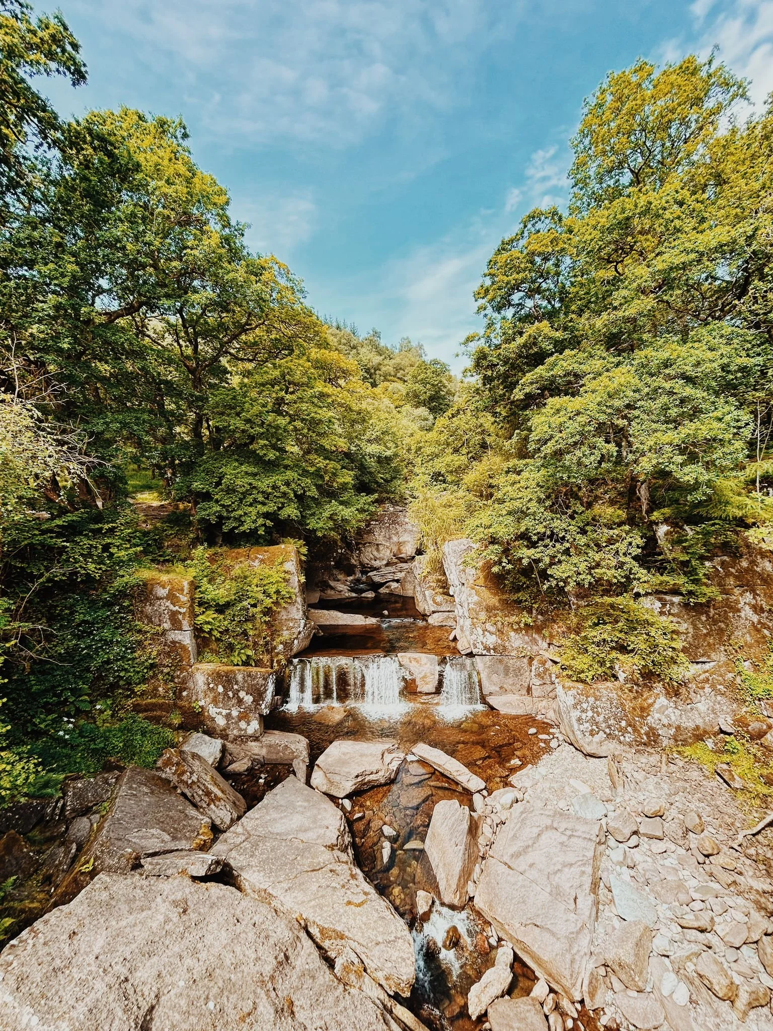 WhatsApp Image 2024-07-25 at 17.56.09.jpeg