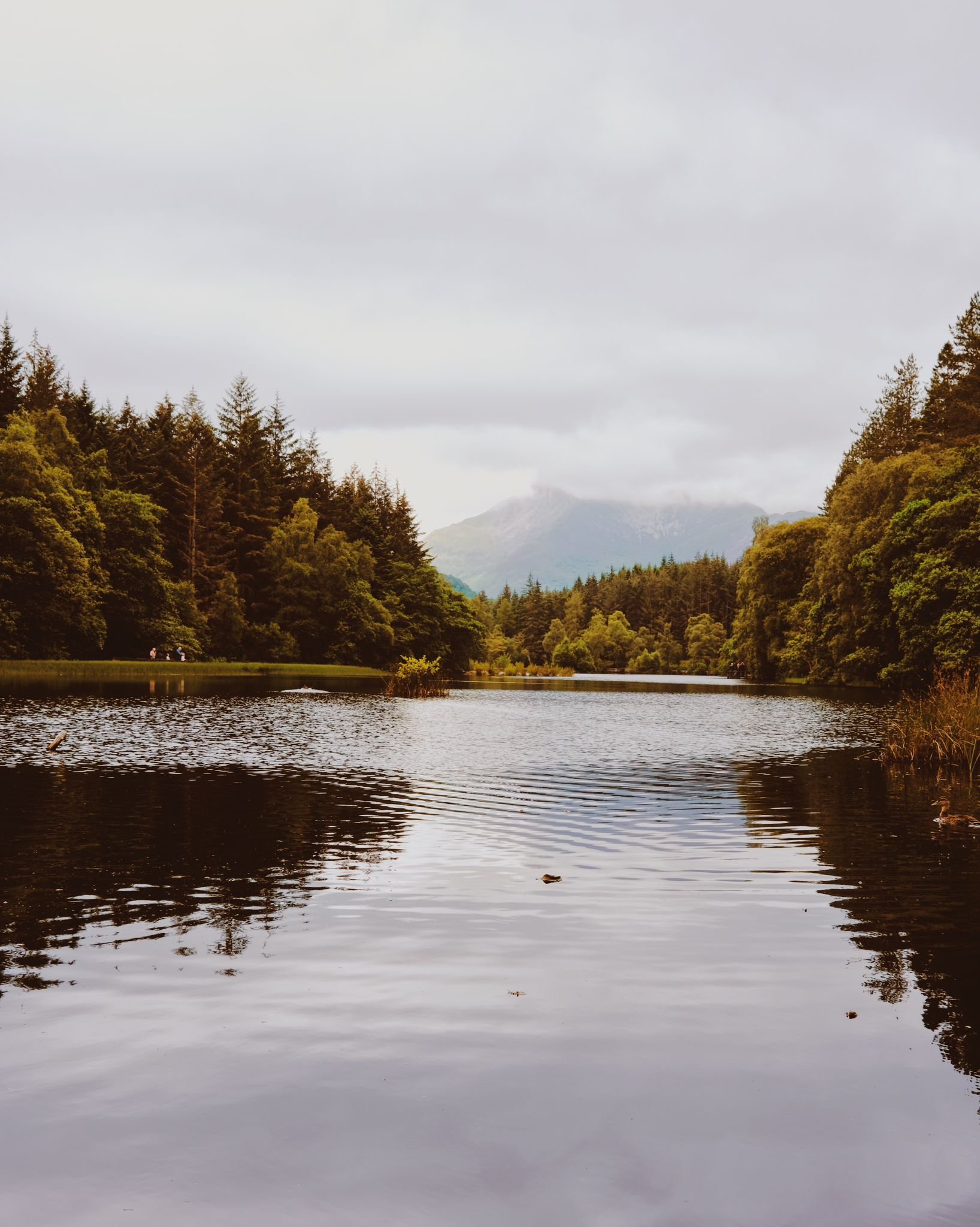 WhatsApp Image 2024-07-25 at 17.56.10.jpeg