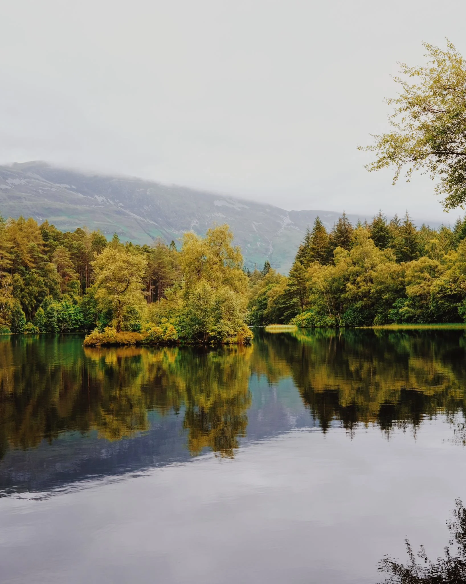 WhatsApp Image 2024-07-25 at 17.56.11-2.jpeg