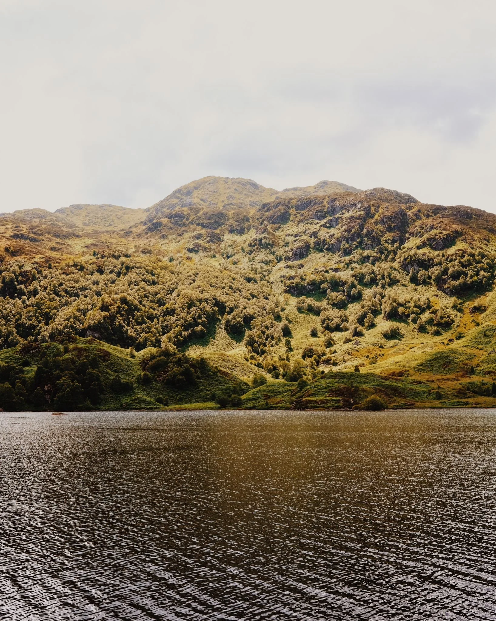 WhatsApp Image 2024-07-25 at 17.56.11.jpeg