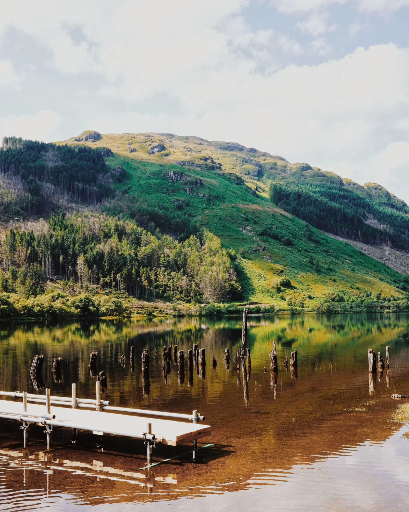 WhatsApp Image 2024-07-25 at 17.56.12.jpeg