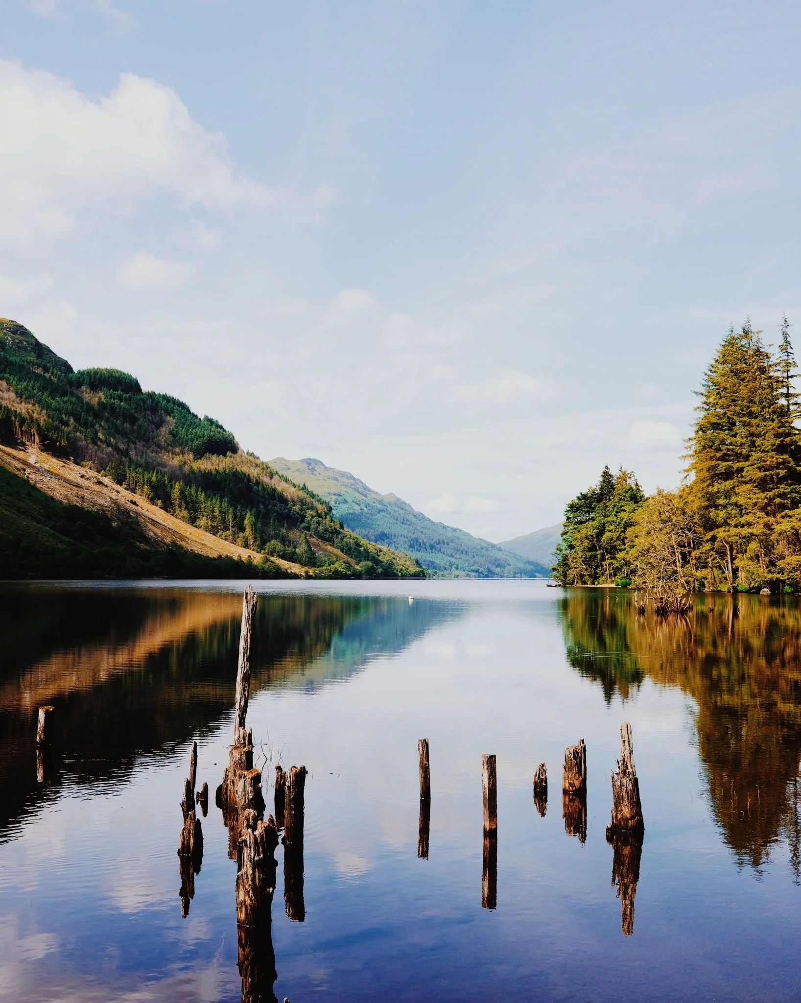 WhatsApp Image 2024-07-25 at 17.56.13.jpeg