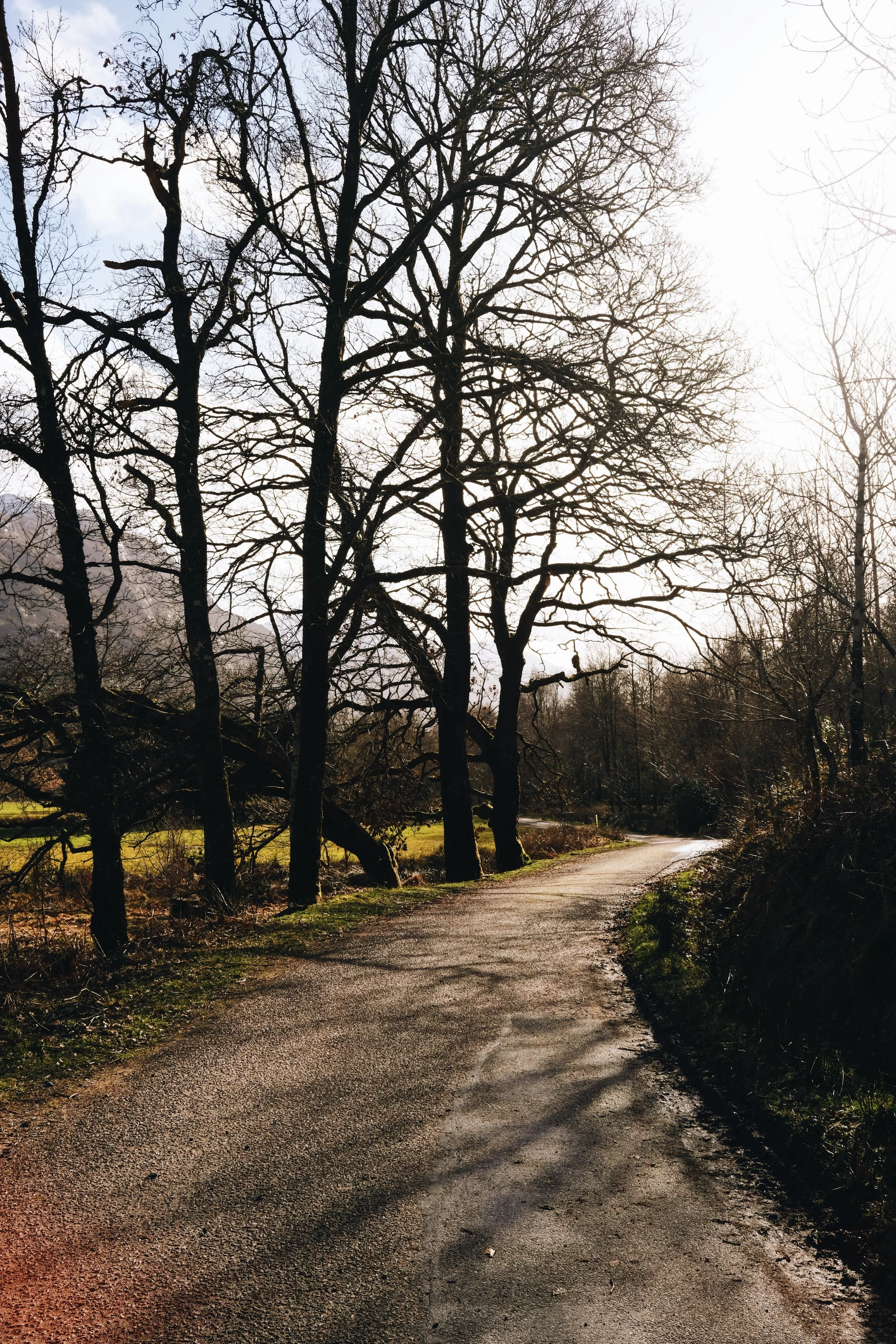 DSCF2489_VSCO.JPG