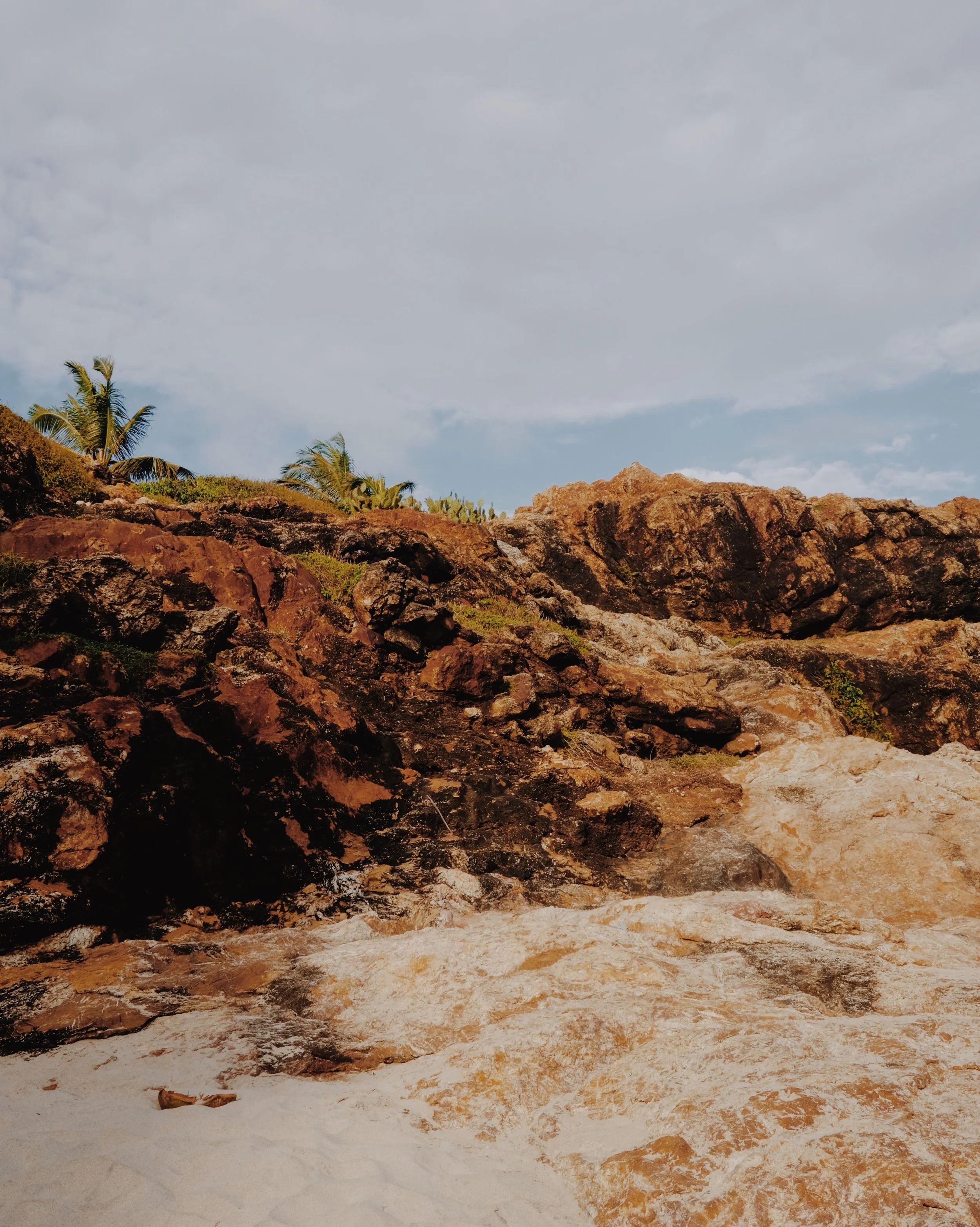 DSCF2279_VSCO.JPG