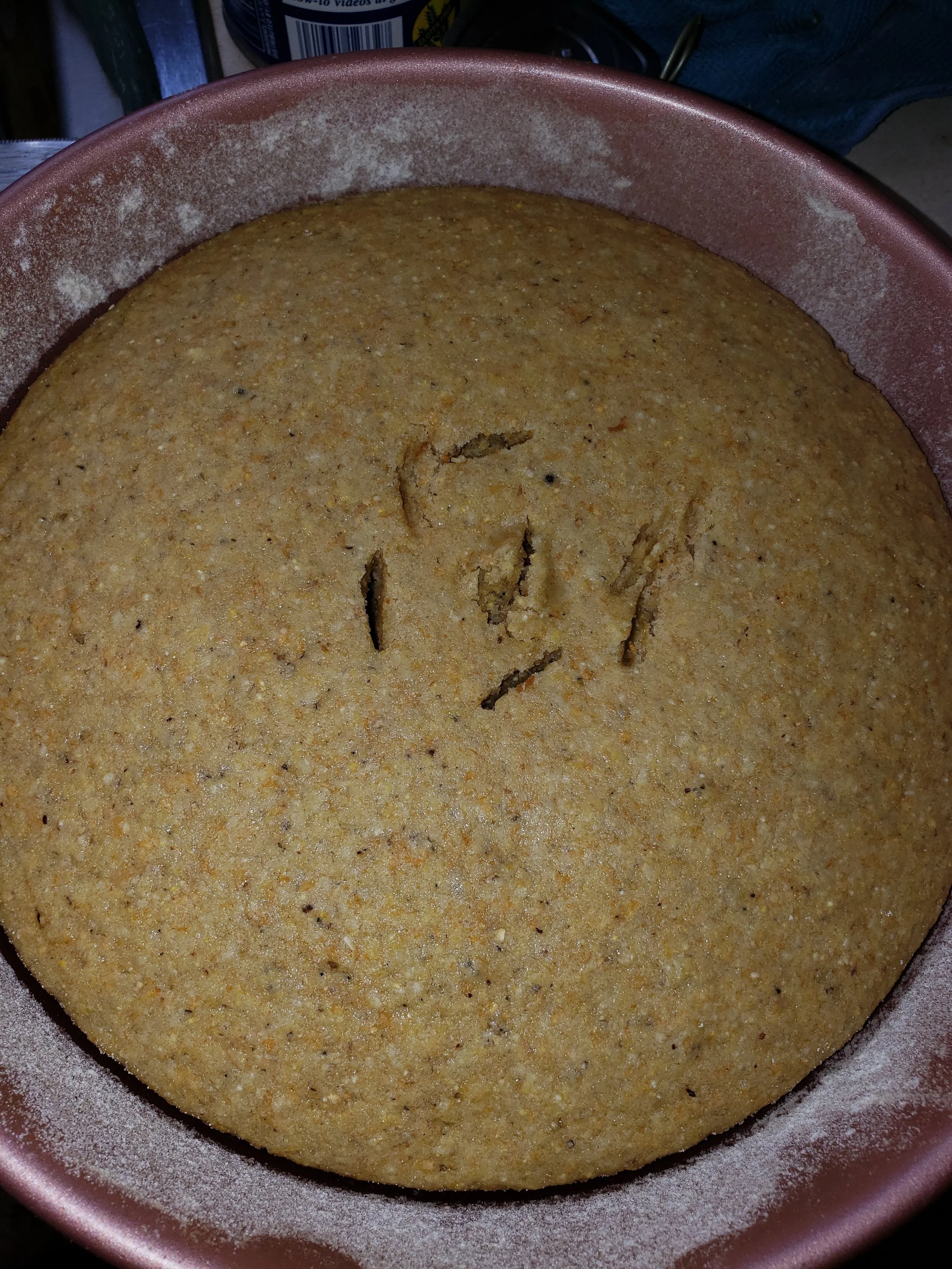 20181122_103421.jpg