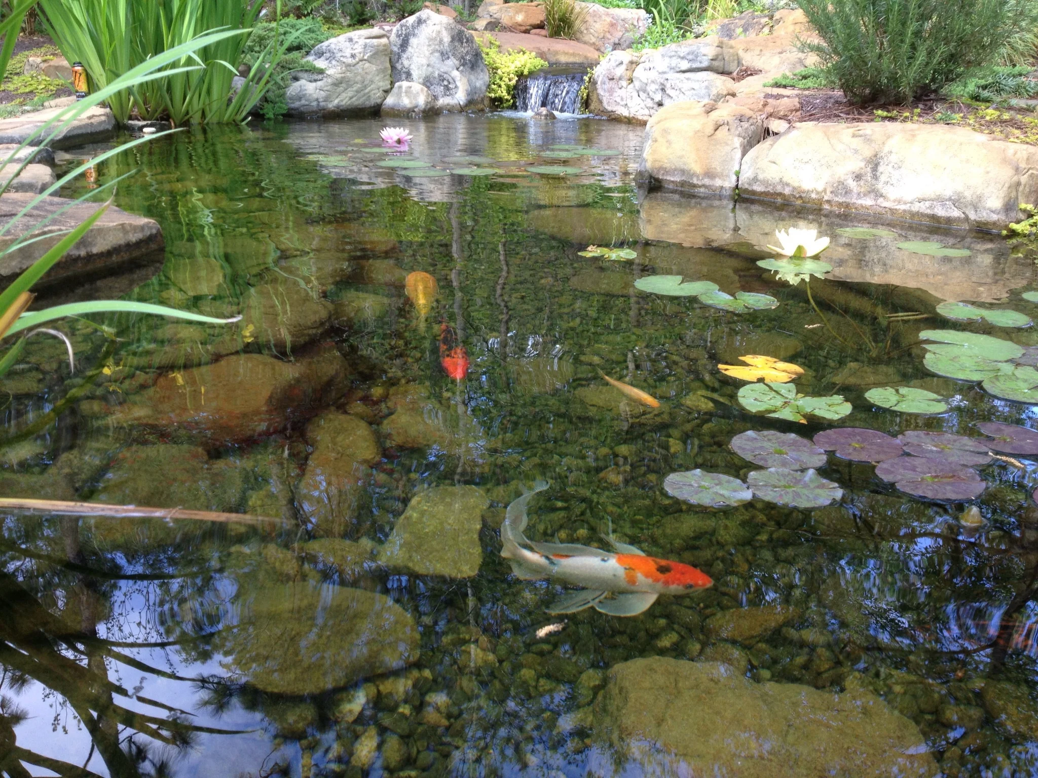 Image-1-11.jpg