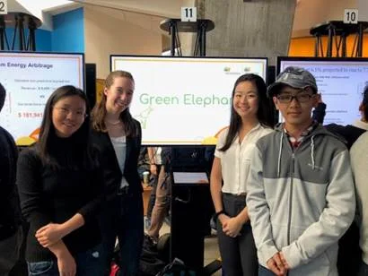 Team Green Elephant