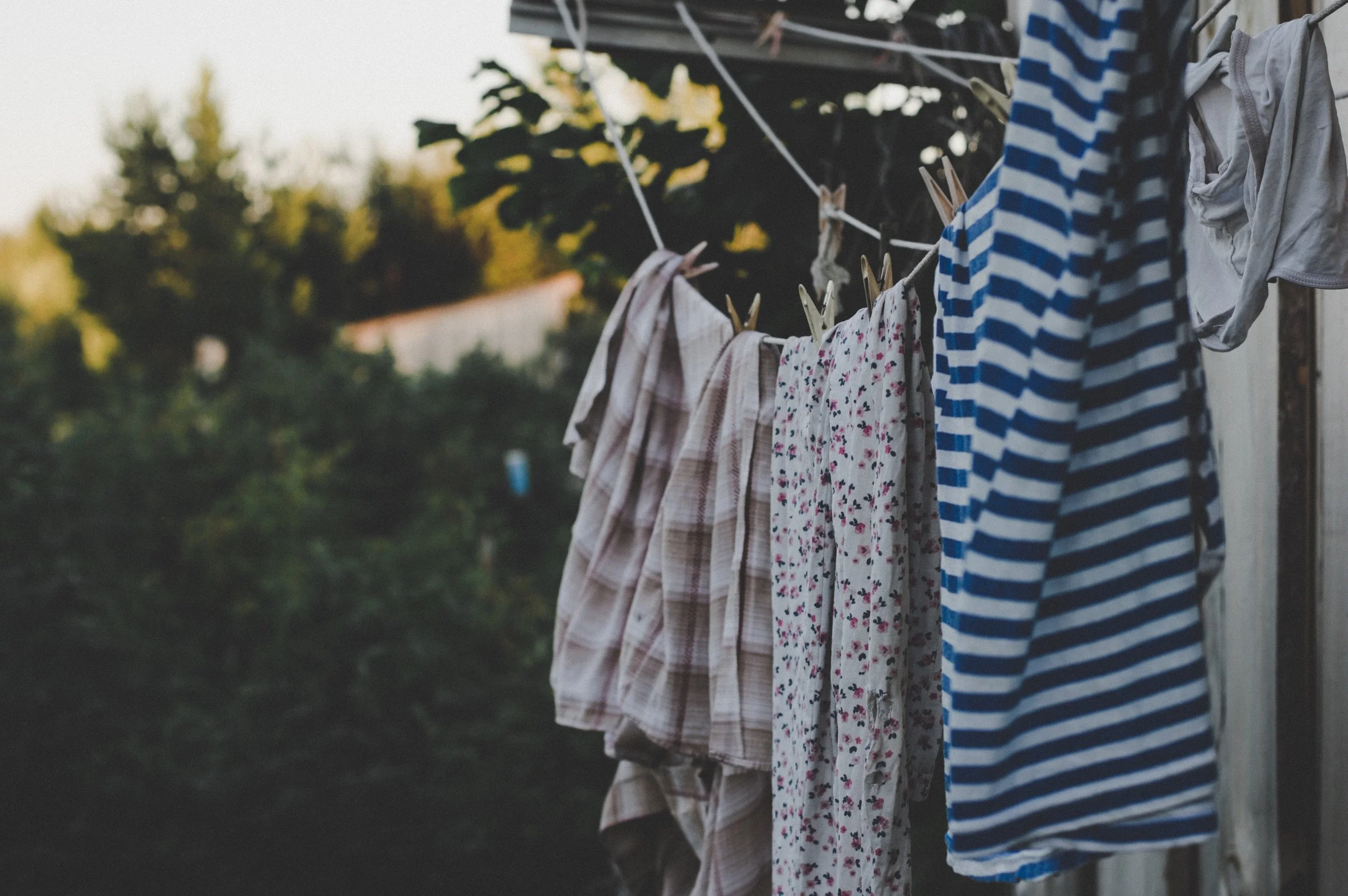 clothesline.jpg