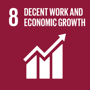 8 decent work and economic growth.png