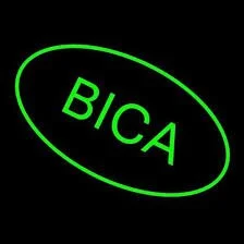 Buffalo Institute for Contemporary Arts