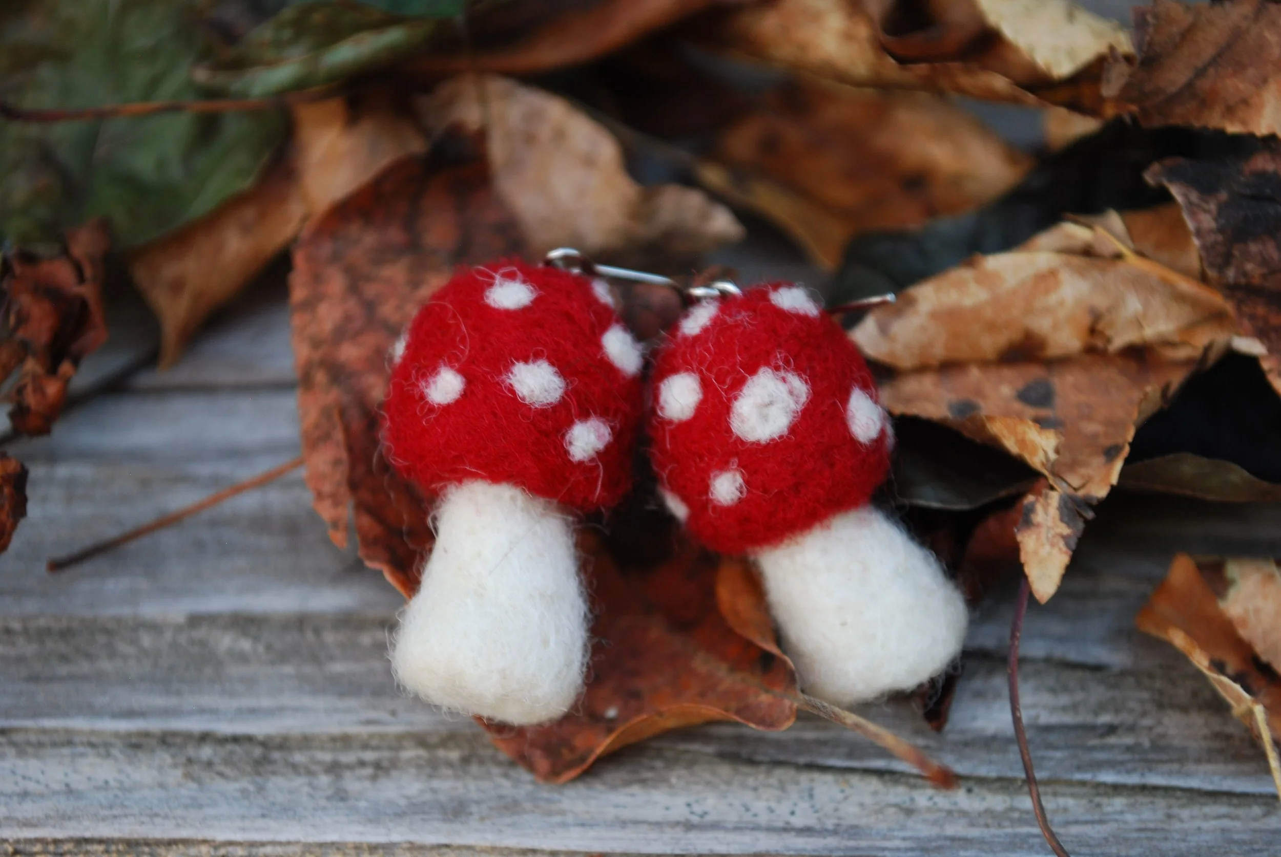 Emma DuBois_DSC_0100.JPG