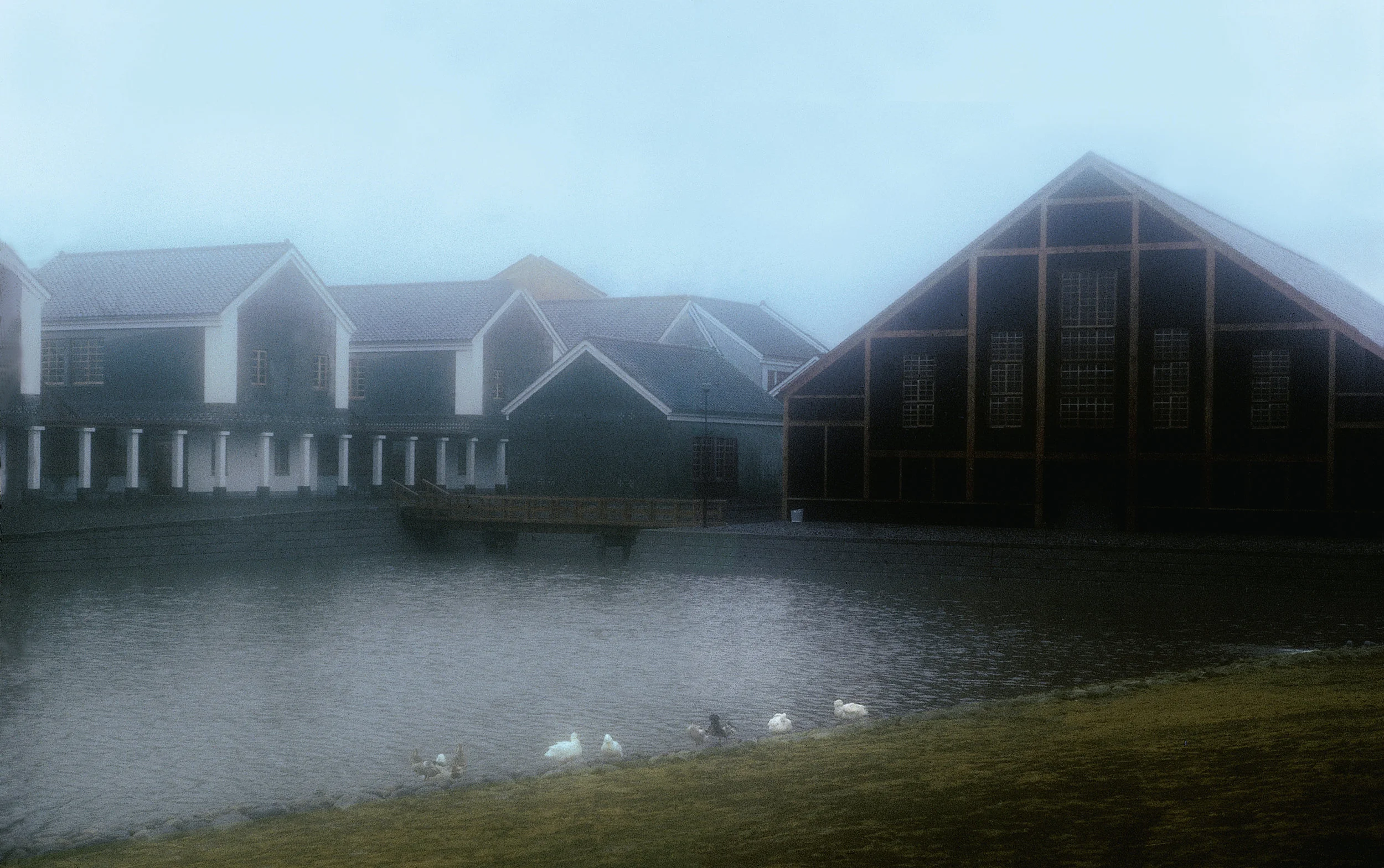 The Geometry of Living Reality and Beauty