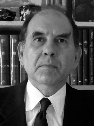 Nikos A. Salingaros