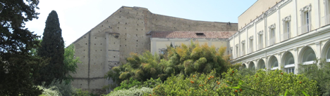courtyard_banner.png