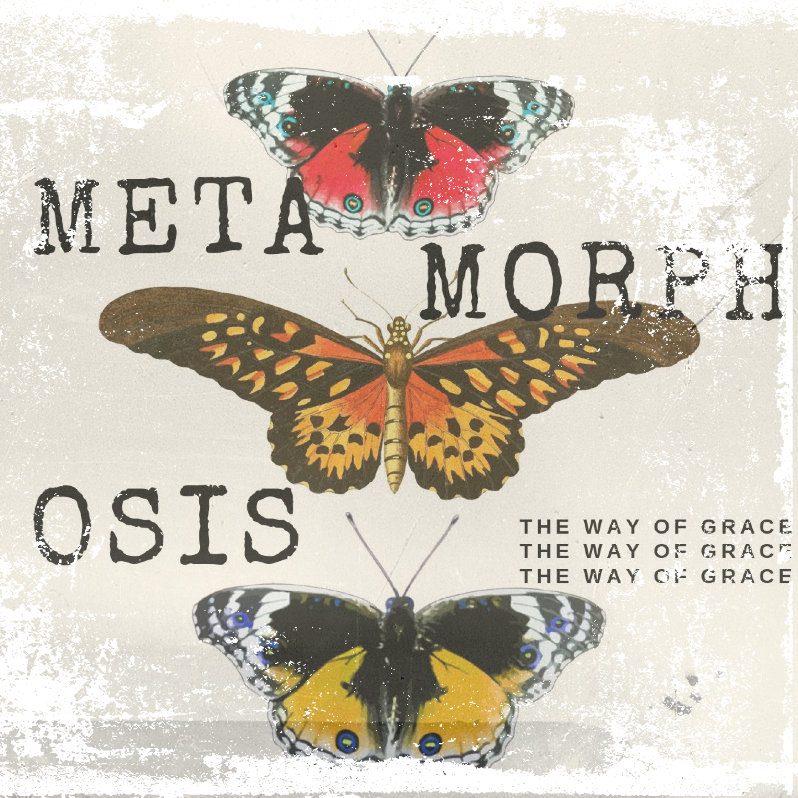 Metamorphosis: The Way of Grace