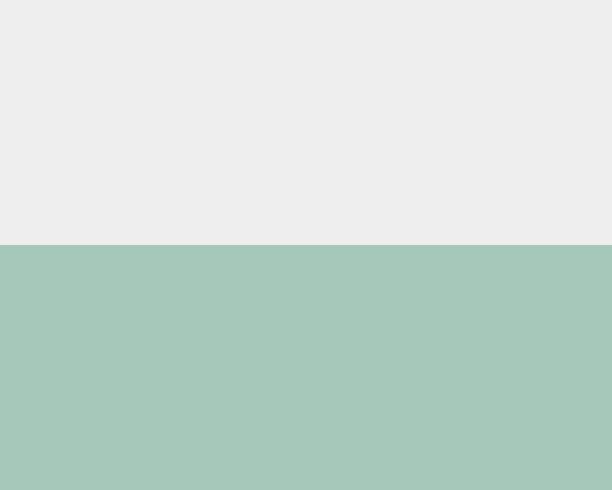 pareltje-makkum-banner-cover-pagina.png