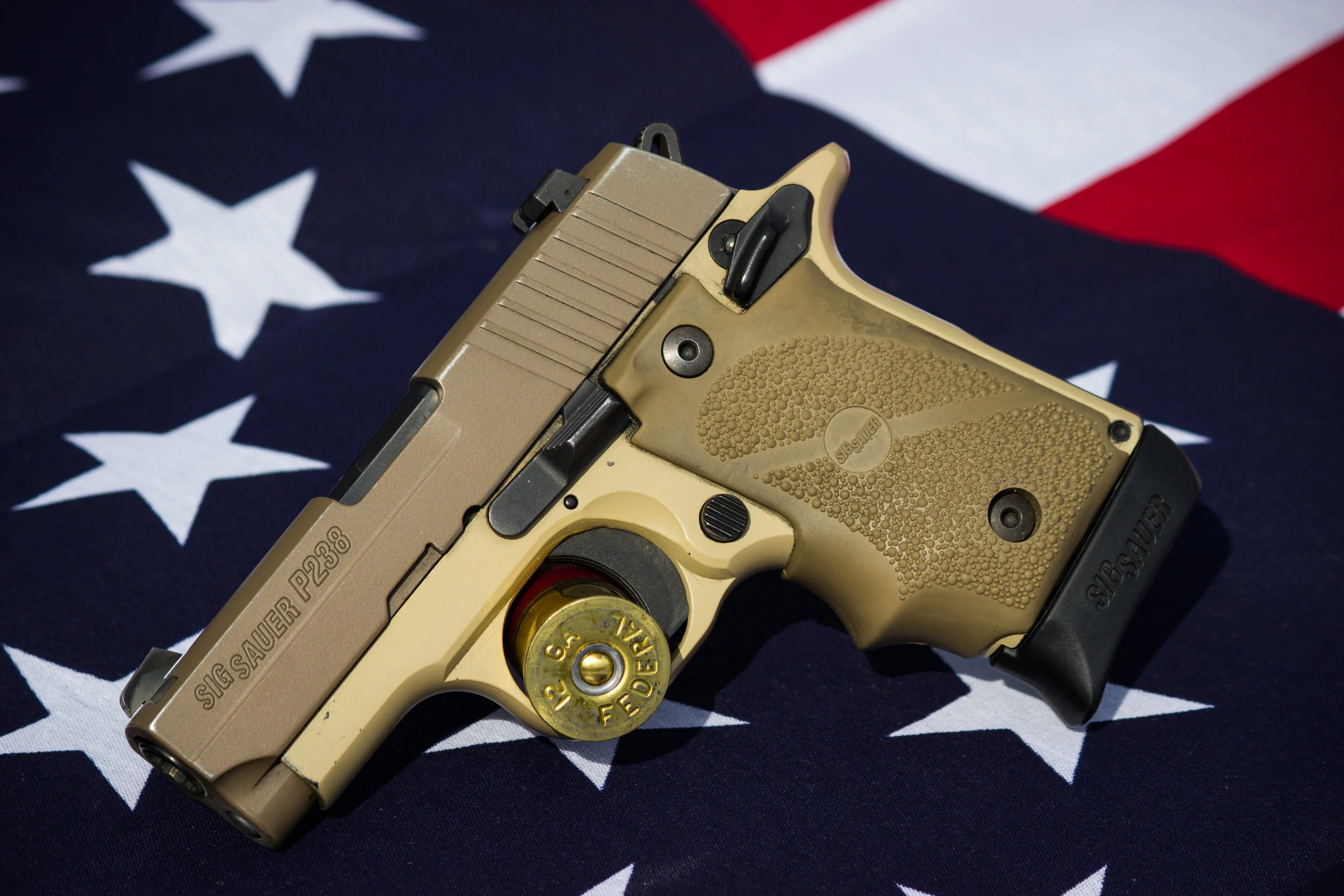 SIG P238