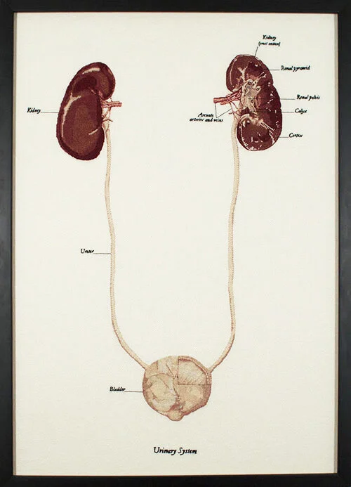 Kate Therrian-Urinary System-2013.jpg