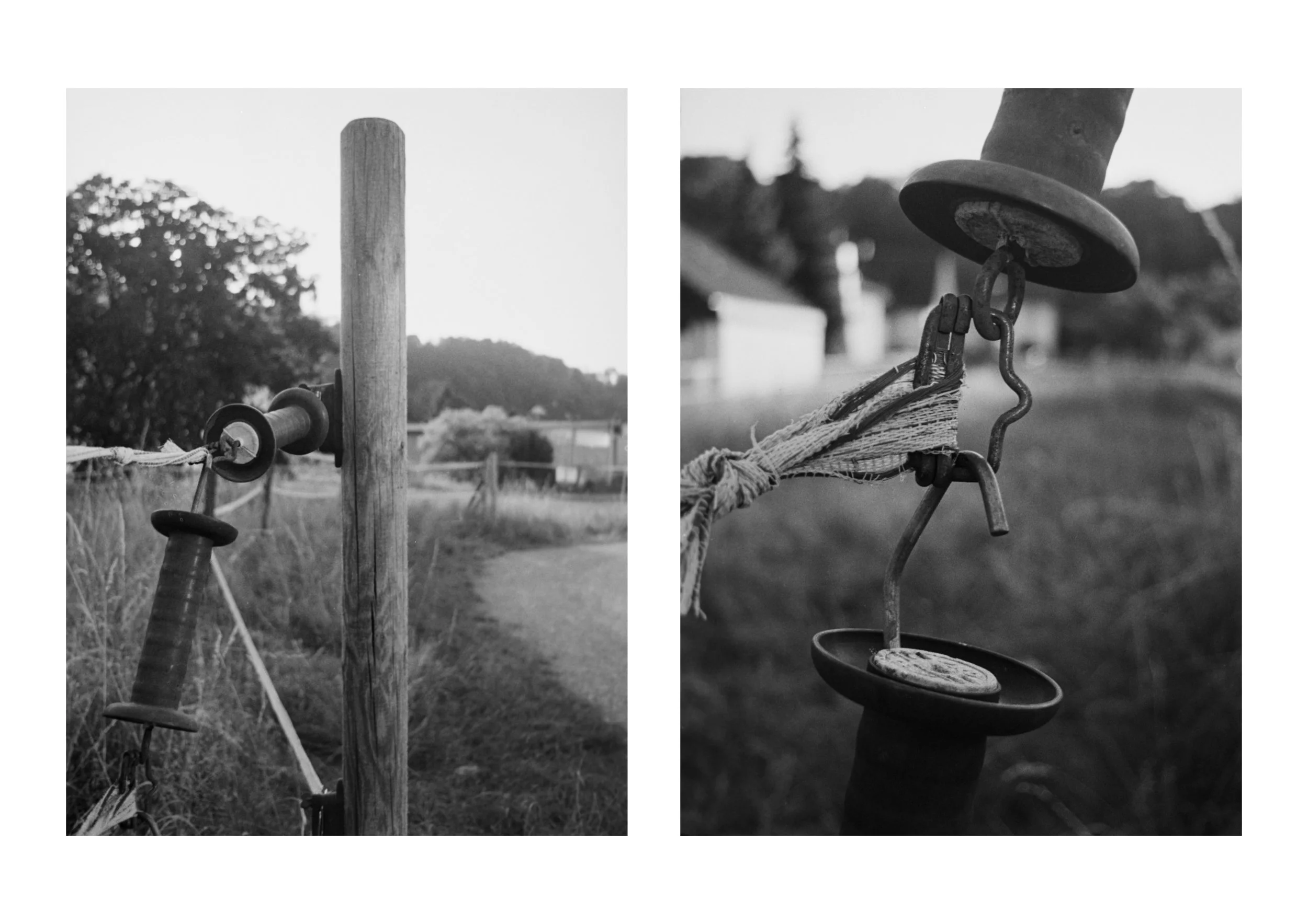Fence