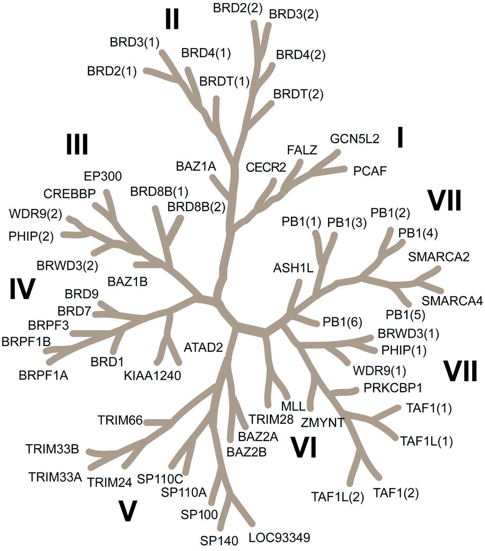 bromodomains.gif