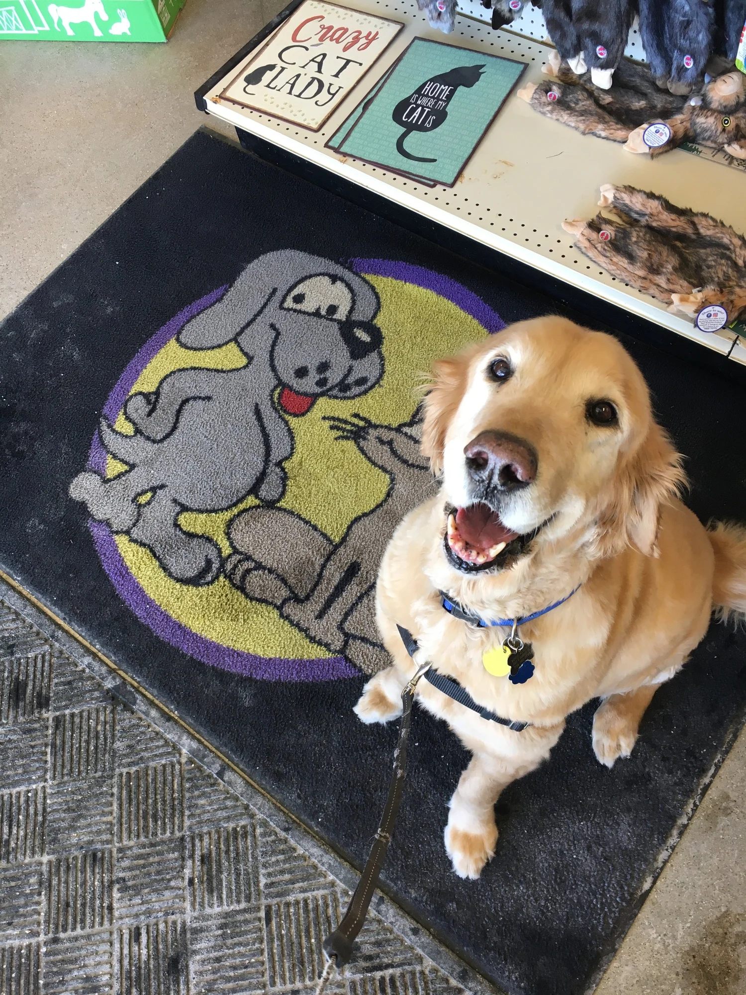 Wags To Wiskers Pet Supplies