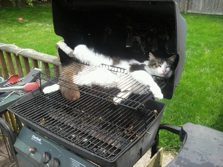 Check your grills before turning them on!
