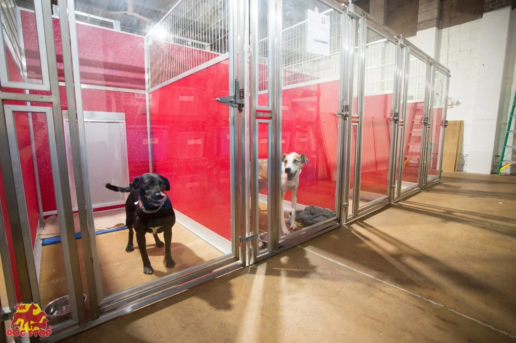 petboard3.jpg