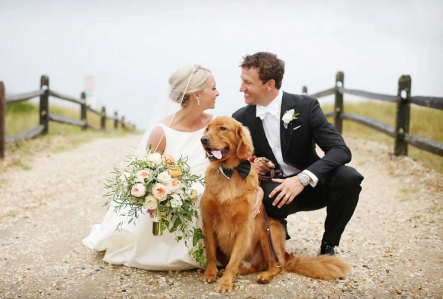 dogs-in-weddings-family-portrait.jpg