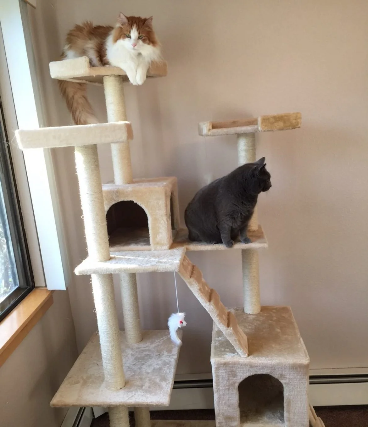 Cat-tree-2-compressed-1170x1560.jpg