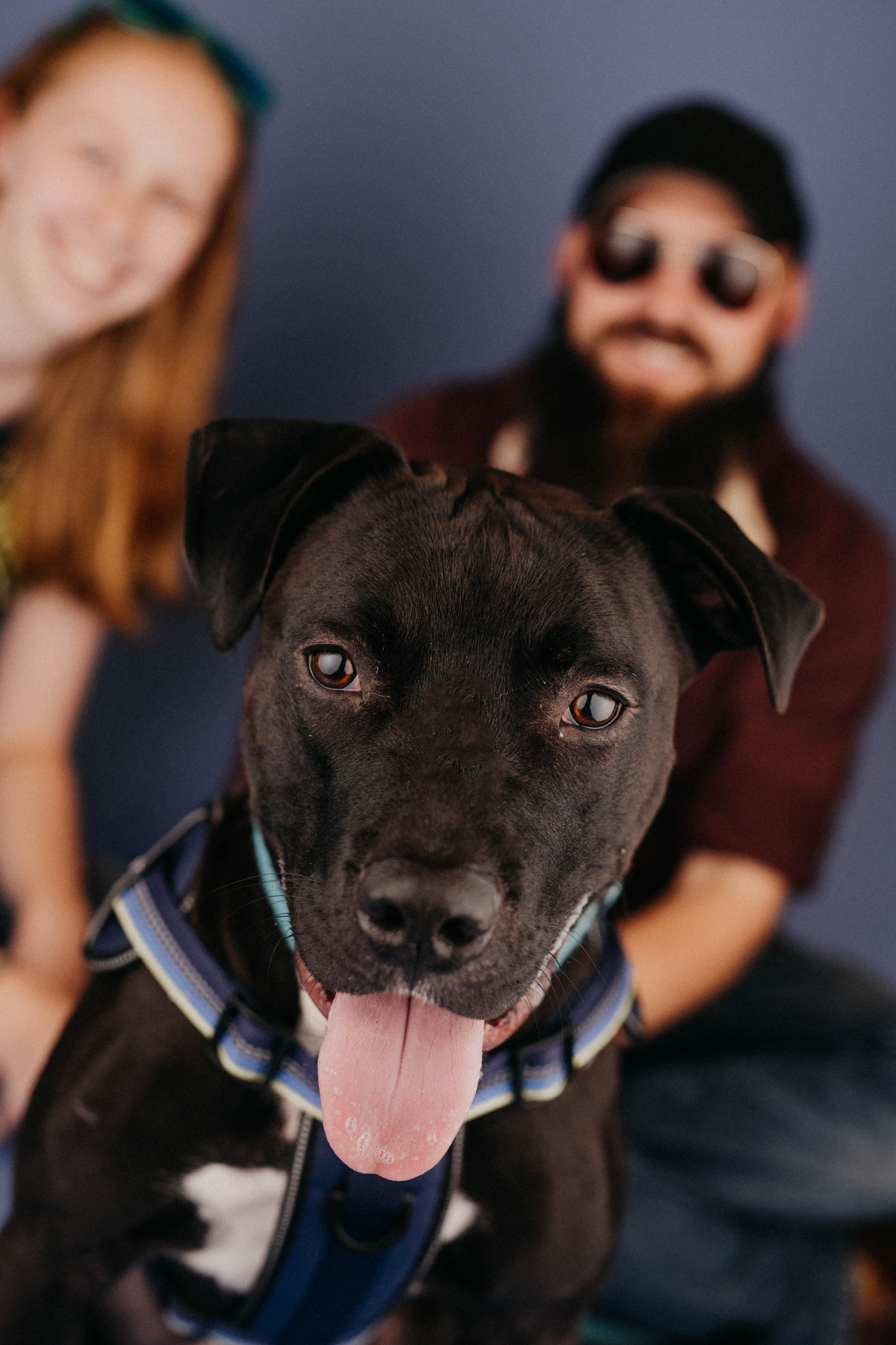 moby1.jpg